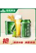 青岛啤酒（TsingTao）清爽8度330ml*24听 整箱装（新老包装随机发放）