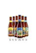 蜂标精酿啤酒 DeBie 比利时原装进口精酿果味啤酒系列 6瓶组合装