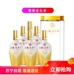 宜宾五粮液股份五粮迎宾酒醇品52度500ml*6瓶透明礼盒浓香型白酒整箱装